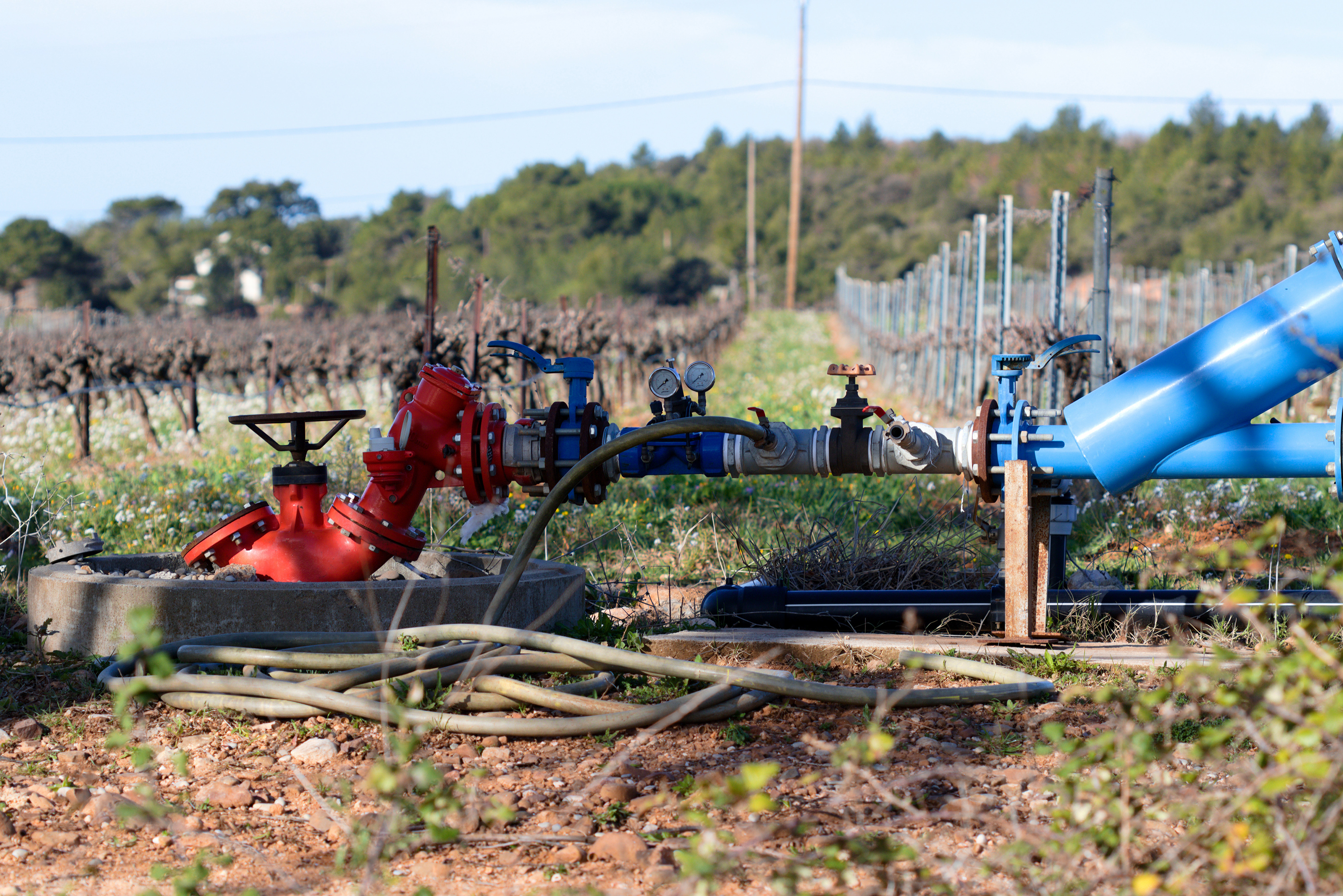 backflow system, commercial plumbing